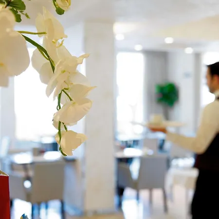 호텔 Mercure Artis 4*