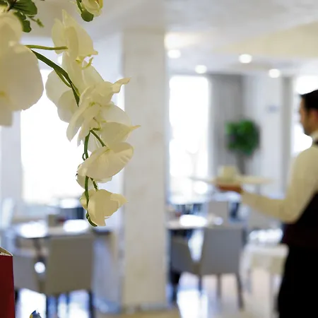 Mercure Artis 4* ريميني